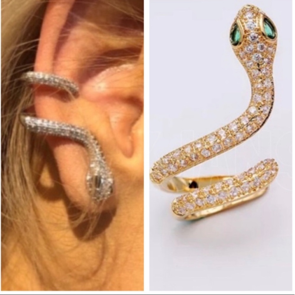 Snake earrings